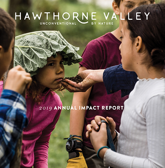 2019 Annual Impact Report front cover