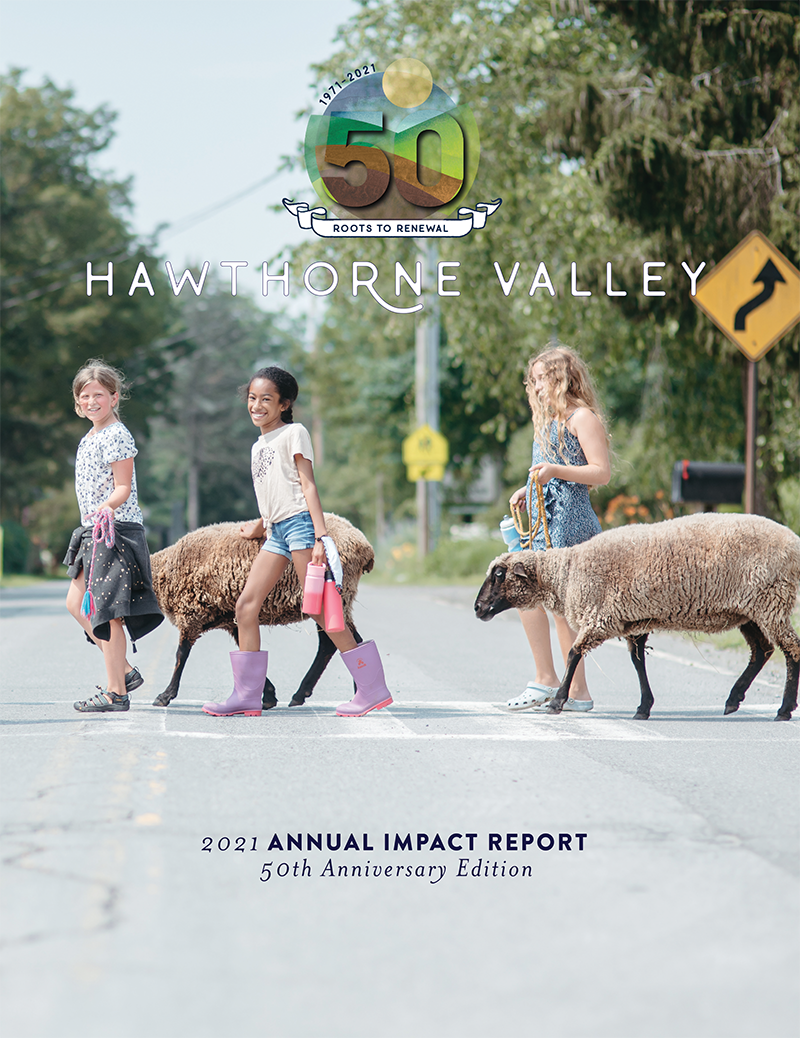 2021 Annual Report Cover summer campers crossing street with sheep