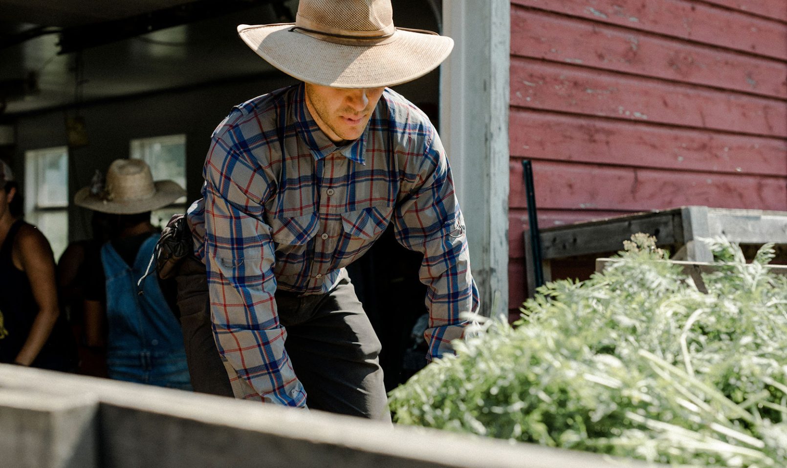 A farm member kneeling over to pick something up. A hat covers his eyes and a carton of leafy stems cover his hands.
