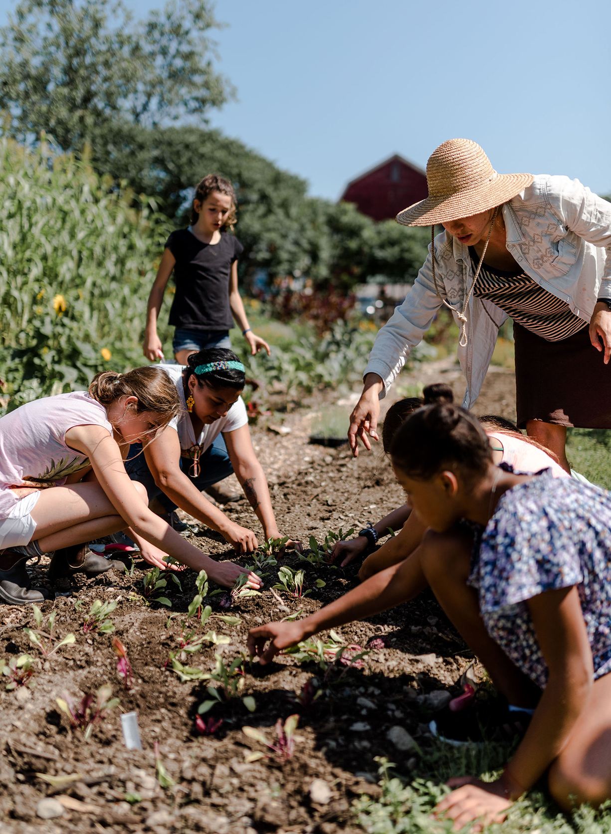 an instructor guides children from above as the kids kneel in the dirt picking vegetables
