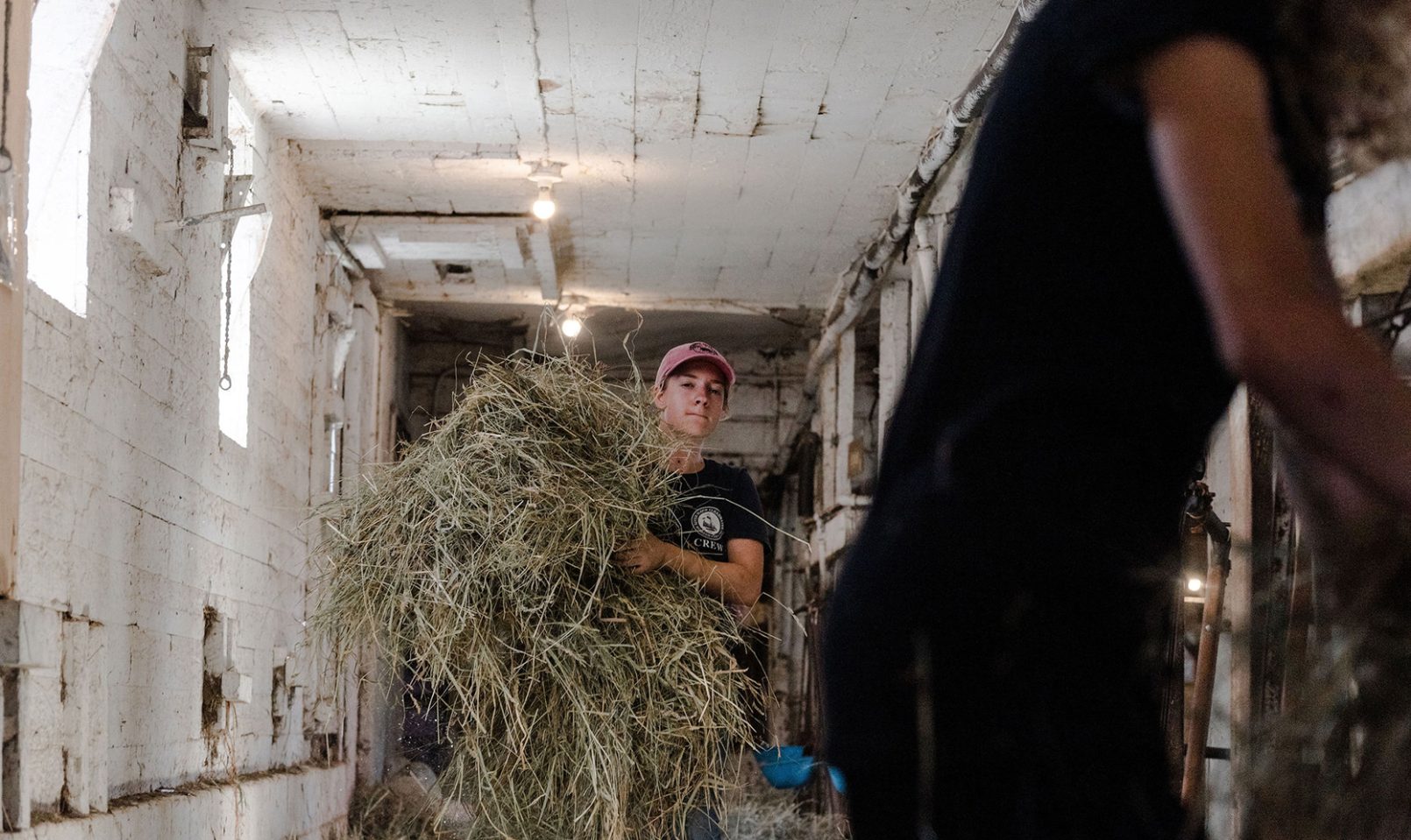 Earth Stewards farm student carrying a pile of hay through the milking barn