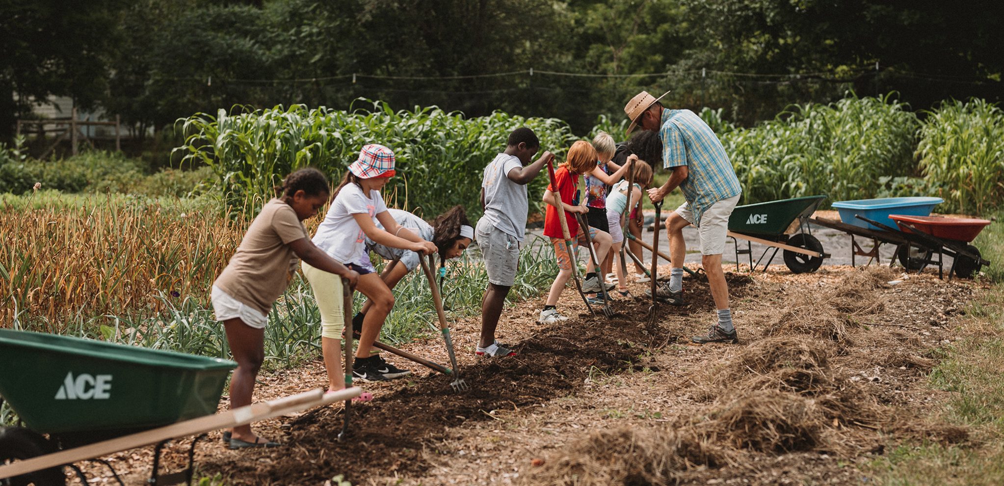 Summer camp students working with a counselor in the garden preparing a bed for planting; wheelbarrows are positioned on both sides of the group