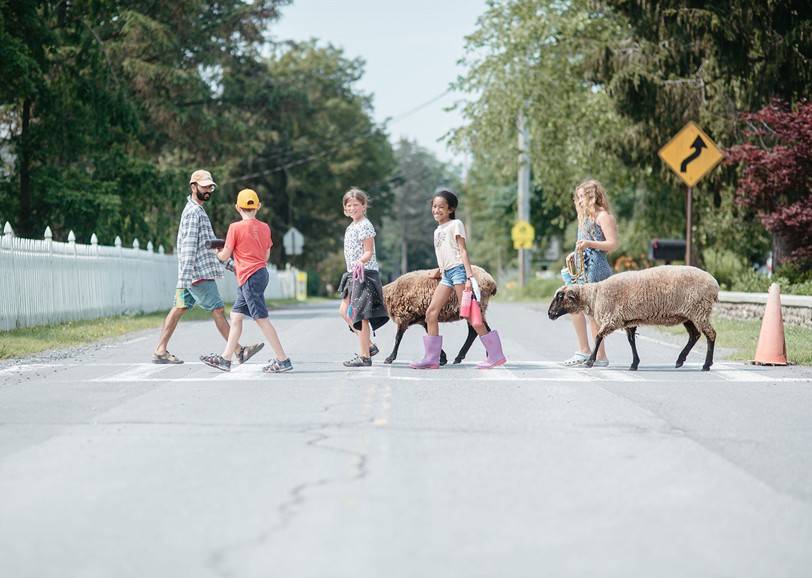 4 Children from the farm camp program crossing the crosswalk with two sheep