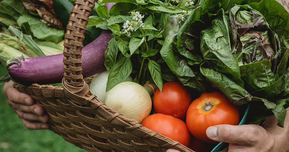 a person holding a basket full of vegetables from Hawthorne Valley Farm's CSA