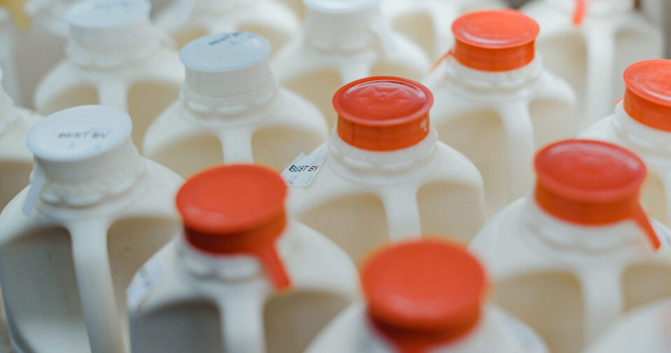 tops of milk cartons in a line