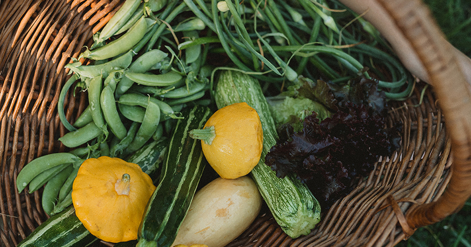 a sample CSA share from Hawthorne Valley Farm